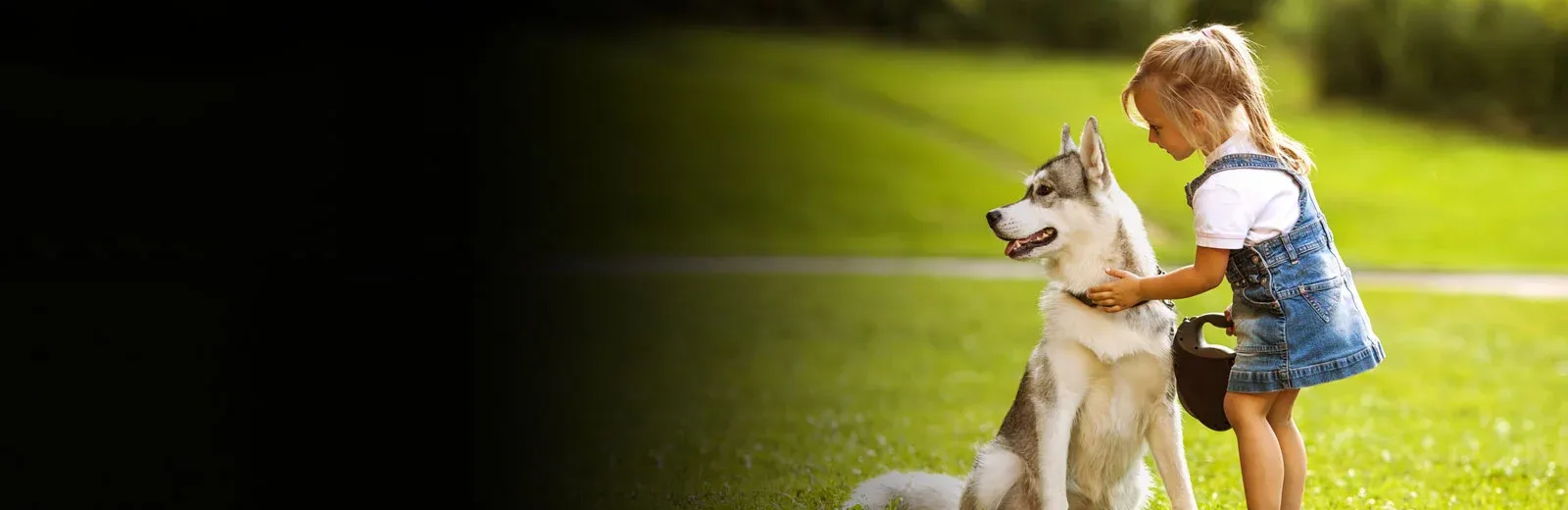 Girl playing with her dog outside