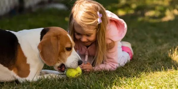 child with dog